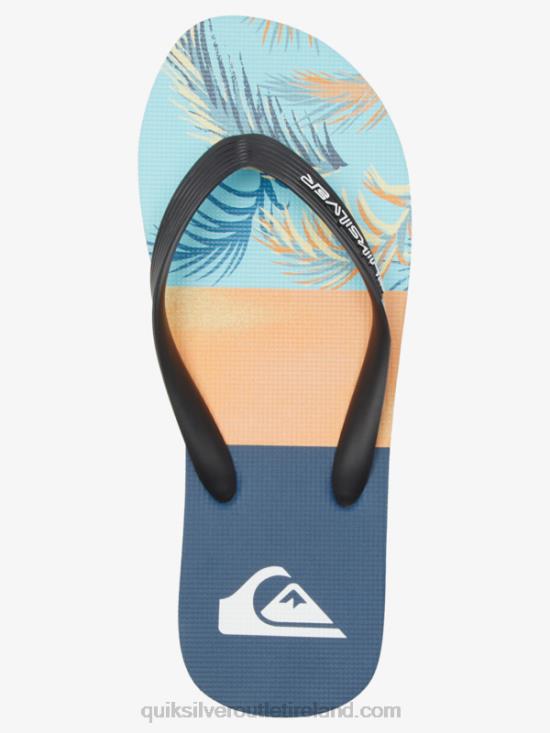 Men Quiksilver Molokai Panel Flip-Flops N02TD569 blue/black/yellow