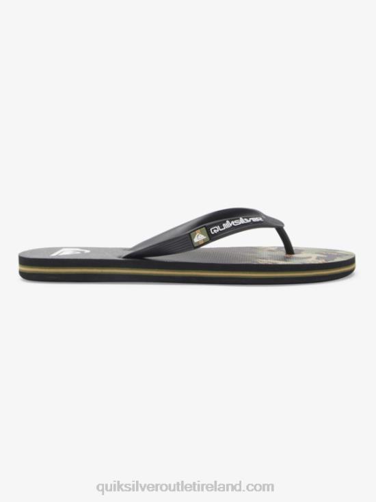 Men Quiksilver Molokai Panel Flip-Flops N02TD570 green 1