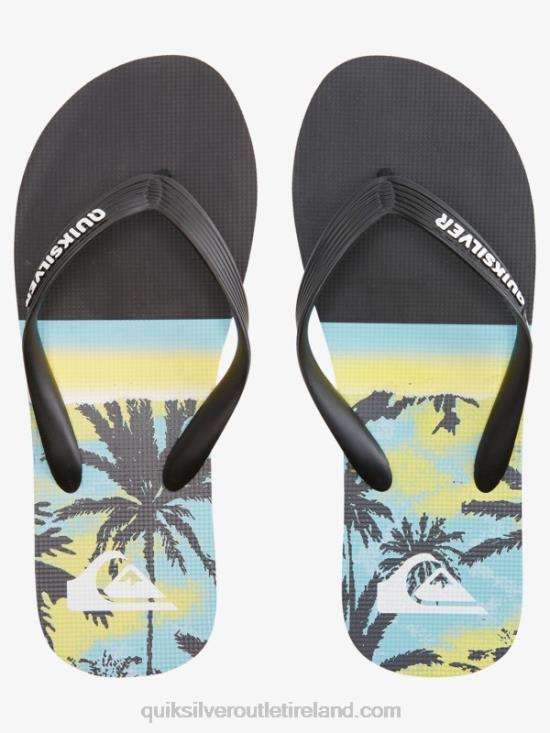 Men Quiksilver Molokai Panel Flip-Flops N02TD574 black