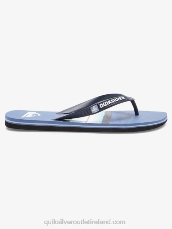 Men Quiksilver Molokai Resin Tint Flip-Flops N02TD1790 grey 1