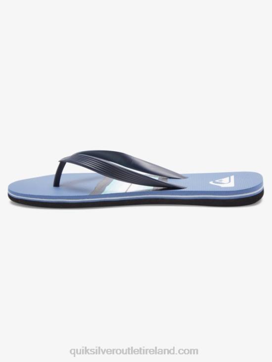 Men Quiksilver Molokai Resin Tint Flip-Flops N02TD1790 grey 1