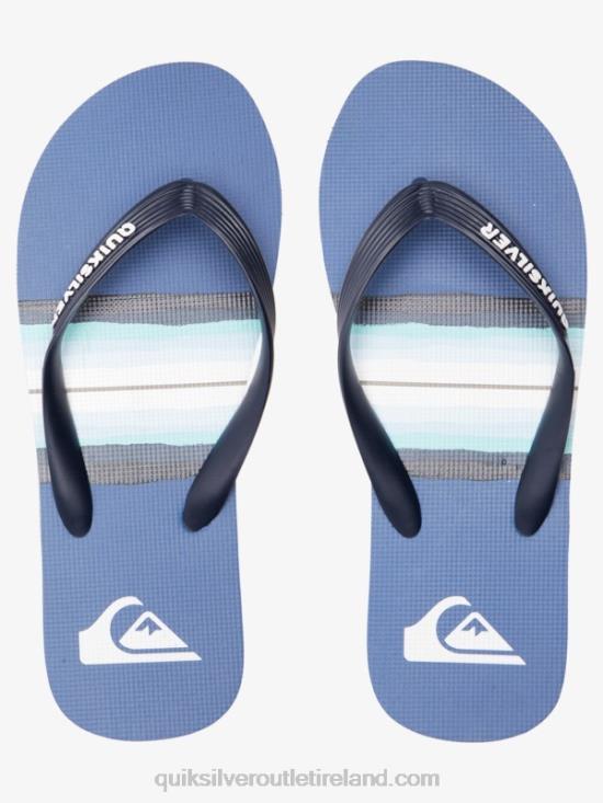 Men Quiksilver Molokai Resin Tint Flip-Flops N02TD1790 grey 1